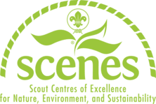 Scenes logo