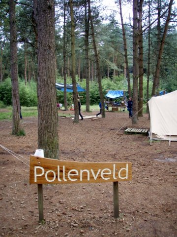 Pollenveld_1