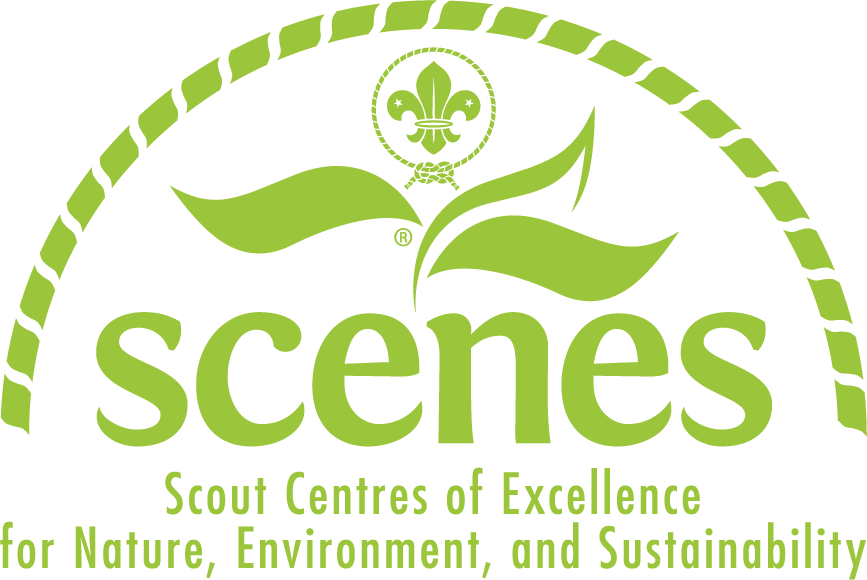 scenes logo large